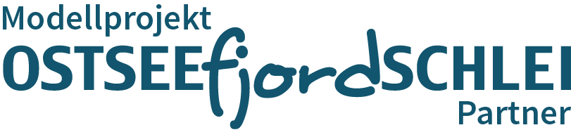 Modellprojekt
